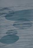 Water Forms XI by Rebecca Turk-Richards, Artist Print, Monoprint